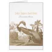 John James Audubon Lousiana Heron CC0750 Bird (Vorne)