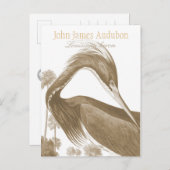John James Audubon Lousiana Heron CC0752 Bird Postkarte (Vorne/Hinten)
