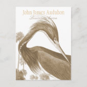 John James Audubon Lousiana Heron CC0752 Bird Postkarte (Vorderseite)