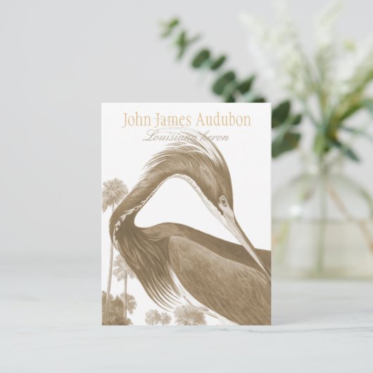 John James Audubon Lousiana Heron CC0752 Bird Postkarte (Stehend Vorderseite)