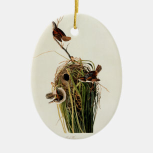 John James Audubon Marsh Wren Vogel Druck Keramikornament