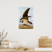 John James Audubon Osprey und Weakfish Poster (Küche)