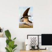 John James Audubon Osprey und Weakfish Poster (Heimbüro)