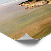 John James Audubon Osprey und Weakfish Poster (Ecke)