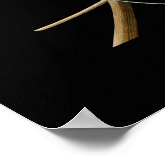 John James Audubon ~ Summer Red Birds ~ Poster (Ecke)