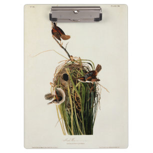 John James Audubon Sumpfzaunkönig-Vogel-Druck Klemmbrett