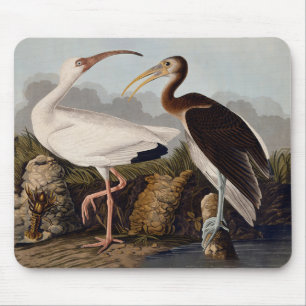 John James Audubon Weißer Ibis Vogel Druck Klassik Mousepad