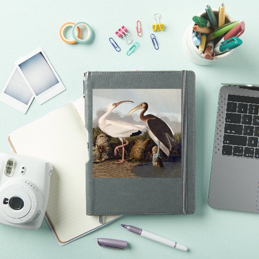 John James Audubon White Ibis Bird Print Classic Aufkleber (iPad Hülle)