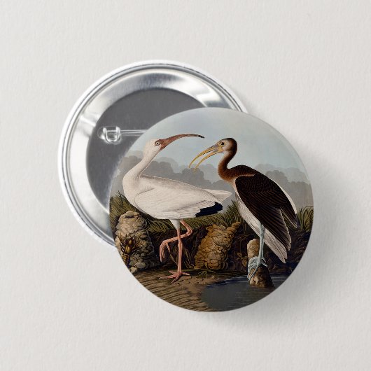 John James Audubon White Ibis Bird Print Classic Button (Vorne & Hinten)
