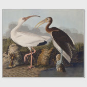 John James Audubon White Ibis Bird Print Classic Geschenkpapier (Flach)