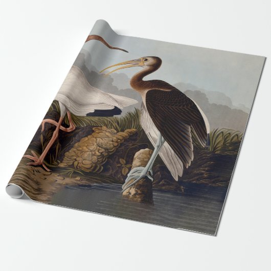 John James Audubon White Ibis Bird Print Classic Geschenkpapier (Ungerollt)