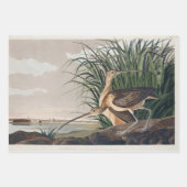 John James Audubon White Ibis Bird Print Classic Geschenkpapier Set (Vorderseite 2)