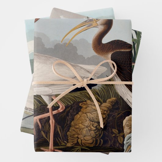 John James Audubon White Ibis Bird Print Classic Geschenkpapier Set (Beispiel)