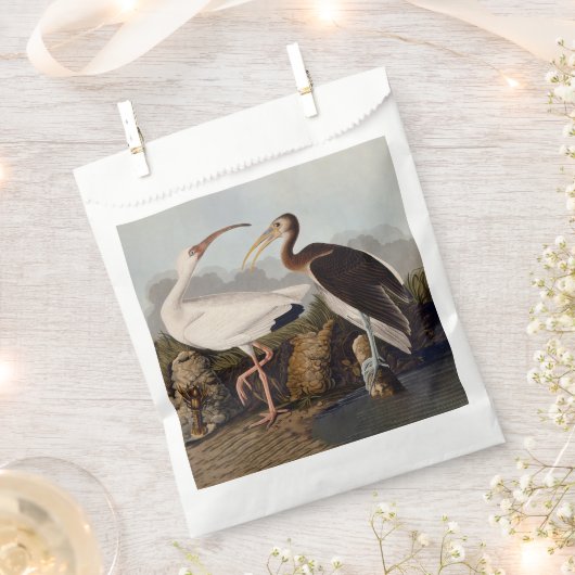 John James Audubon White Ibis Bird Print Classic Geschenktütchen (Ausgeschnitten)