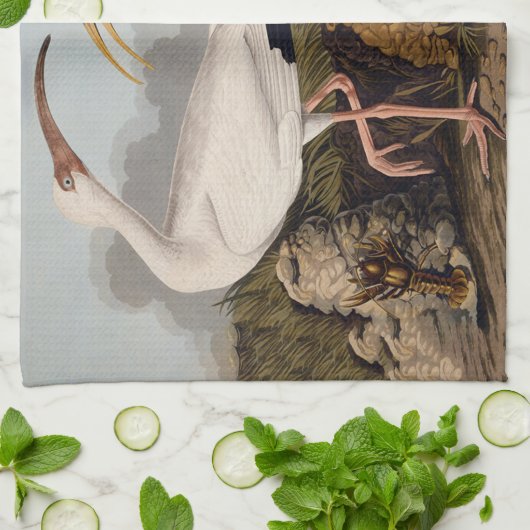 John James Audubon White Ibis Bird Print Classic Geschirrtuch (Gefaltet)