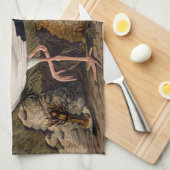 John James Audubon White Ibis Bird Print Classic Geschirrtuch (Viertel Falte)