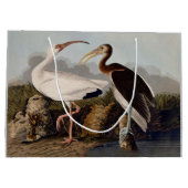 John James Audubon White Ibis Bird Print Classic Große Geschenktüte (Rückseite)