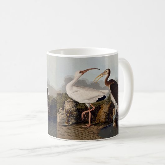 John James Audubon White Ibis Bird Print Classic Kaffeetasse (VorderseiteRechts)