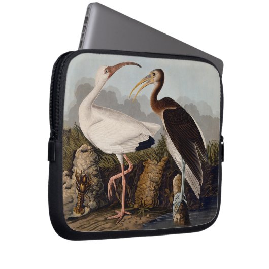 John James Audubon White Ibis Bird Print Classic Laptopschutzhülle (Vorne Rechts)