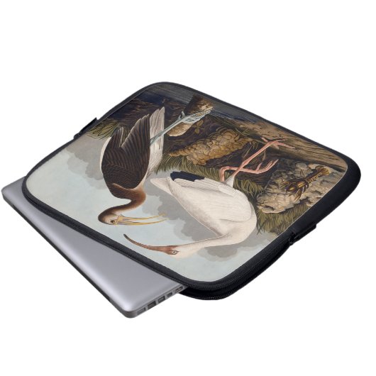 John James Audubon White Ibis Bird Print Classic Laptopschutzhülle (Vorne Knopf)