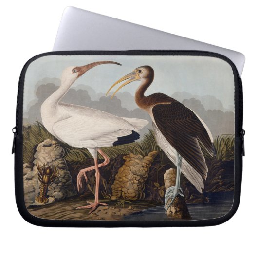 John James Audubon White Ibis Bird Print Classic Laptopschutzhülle (Vorderseite)