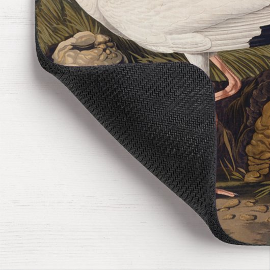 John James Audubon White Ibis Bird Print Classic Mousepad (Ecke)