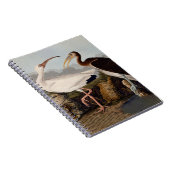 John James Audubon White Ibis Bird Print Classic Notizblock (Rechte Seite)