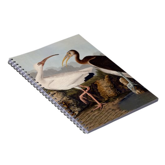 John James Audubon White Ibis Bird Print Classic Notizblock (Rechte Seite)