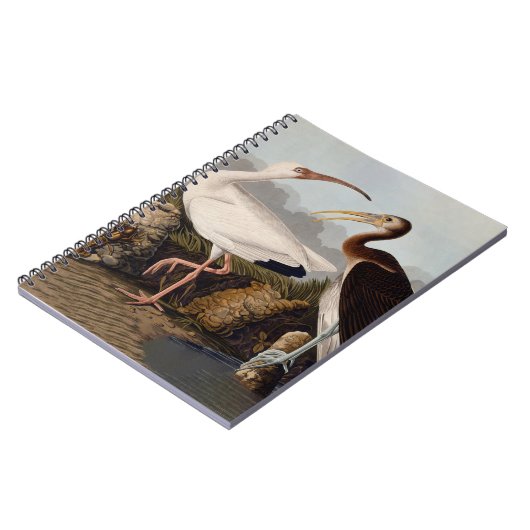 John James Audubon White Ibis Bird Print Classic Notizblock (Linke Seite)