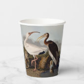 John James Audubon White Ibis Bird Print Classic Pappbecher (Rückseite)