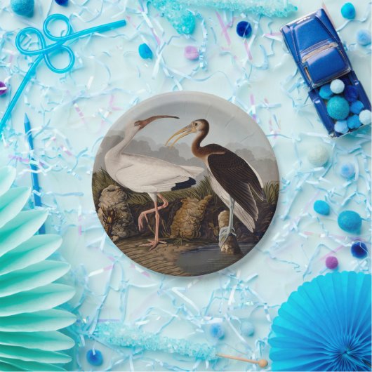 John James Audubon White Ibis Bird Print Classic Pappteller (Party)