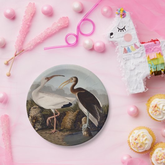 John James Audubon White Ibis Bird Print Classic Pappteller (Party)