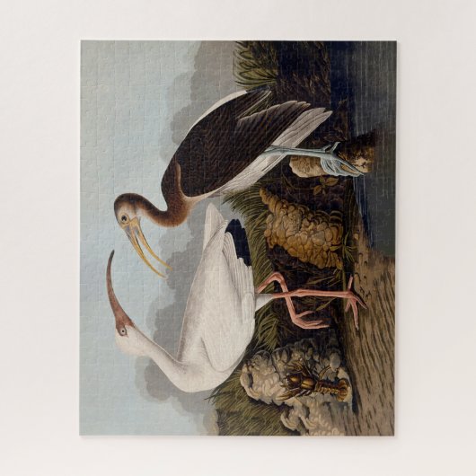 John James Audubon White Ibis Bird Print Classic Puzzle (Vertikal)