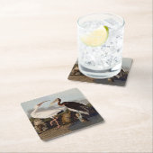 John James Audubon White Ibis Bird Print Classic Rechteckiger Pappuntersetzer (Vor Ort)