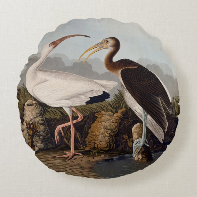 John James Audubon White Ibis Bird Print Classic Rundes Kissen (Vorderseite)