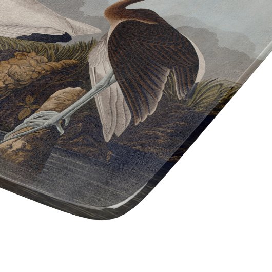 John James Audubon White Ibis Bird Print Classic Schneidebrett (Ecke)