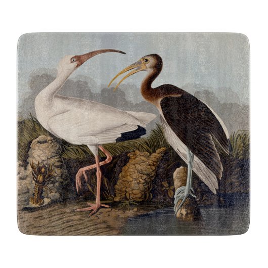 John James Audubon White Ibis Bird Print Classic Schneidebrett (Vorderseite)