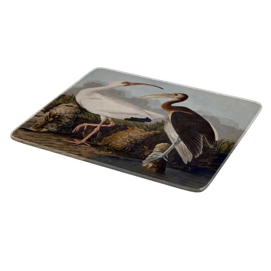 John James Audubon White Ibis Bird Print Classic Schneidebrett (Ecke)