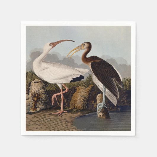 John James Audubon White Ibis Bird Print Classic Serviette (Vorderseite)