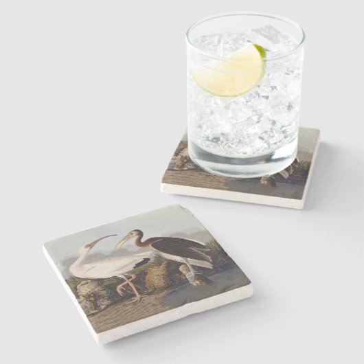 John James Audubon White Ibis Bird Print Classic Steinuntersetzer (Seitenansicht)