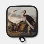 John James Audubon White Ibis Bird Print Classic Topflappen (Vorderseite)