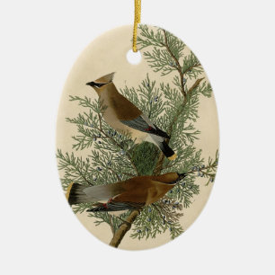 John James Audubon Zedernseidenschwanz-Vogel-Druck Keramik Ornament