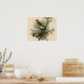 John James Audubon Zedernseidenschwanz-Vogel Druck Poster (Küche)