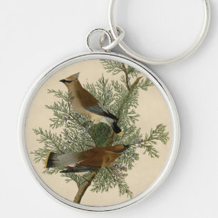 John James Audubon Zedernseidenschwanz-Vogel-Druck Schlüsselanhänger
