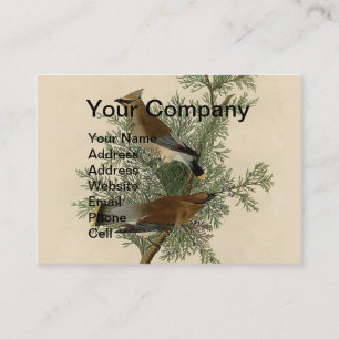 John James Audubon Zedernseidenschwanz-Vogel-Druck Visitenkarte