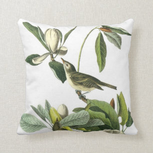 John James Audubonvireo-Kissen Kissen