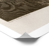 John Jay, Gravur von Asher Brown Durand (1796-188) Poster (Ecke)