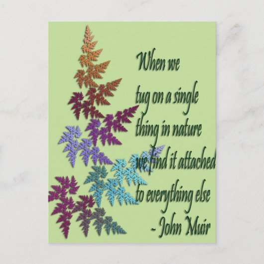 John muir - Postkarte (Vorderseite)