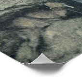 John Muir - Schriftsteller Poster (Ecke)