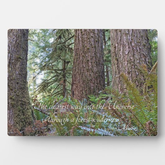 John Muir Zitat Giant Conifer Forest Fotoplatte (Vorderseite)